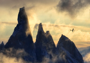 Chimères Patagones – Teaser